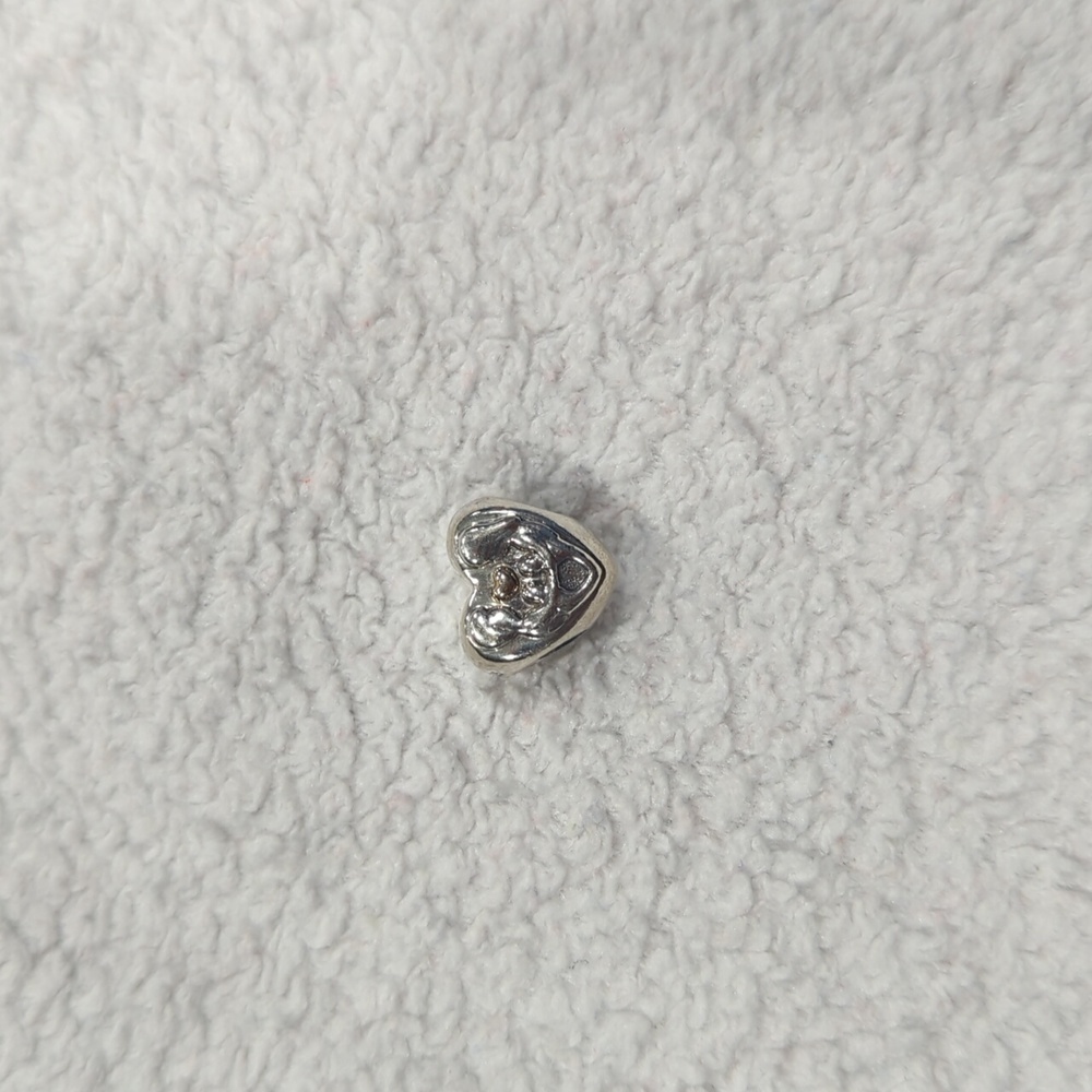 Brand New Pandora Family Charm